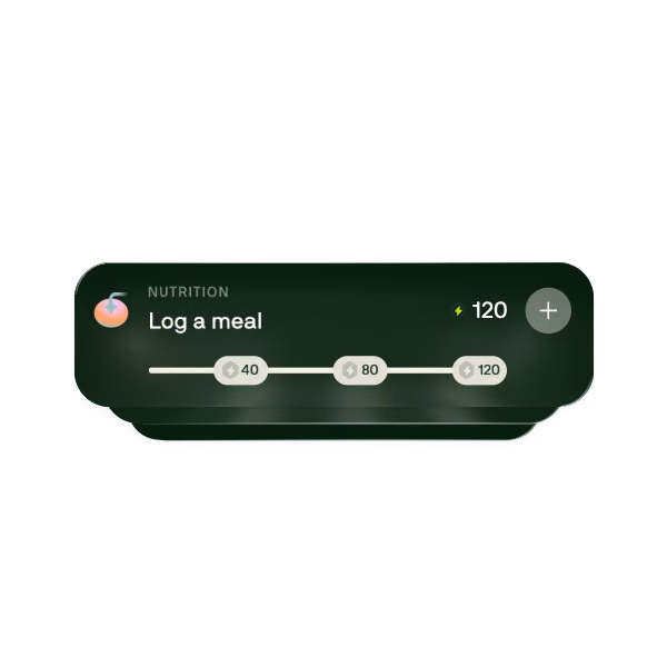 Voy meal logging and nutrition progress