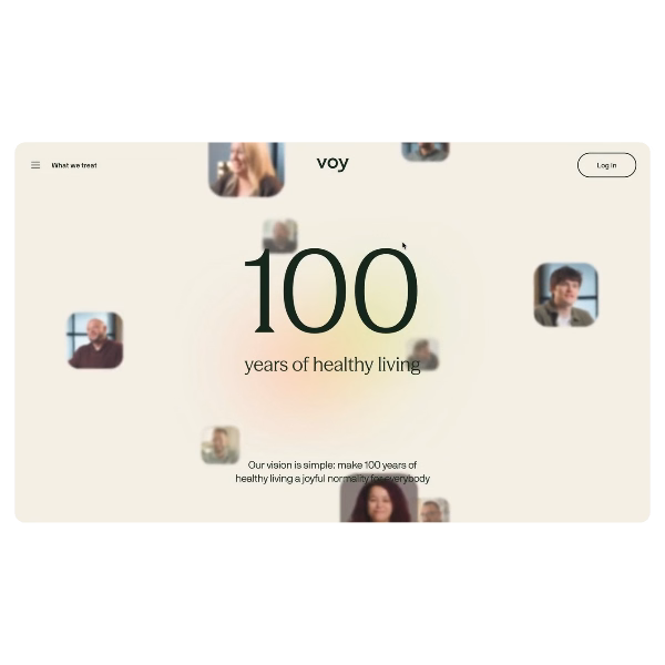 Voy vision website